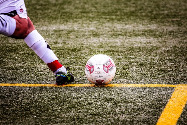 原则的贯彻 原则的贯彻