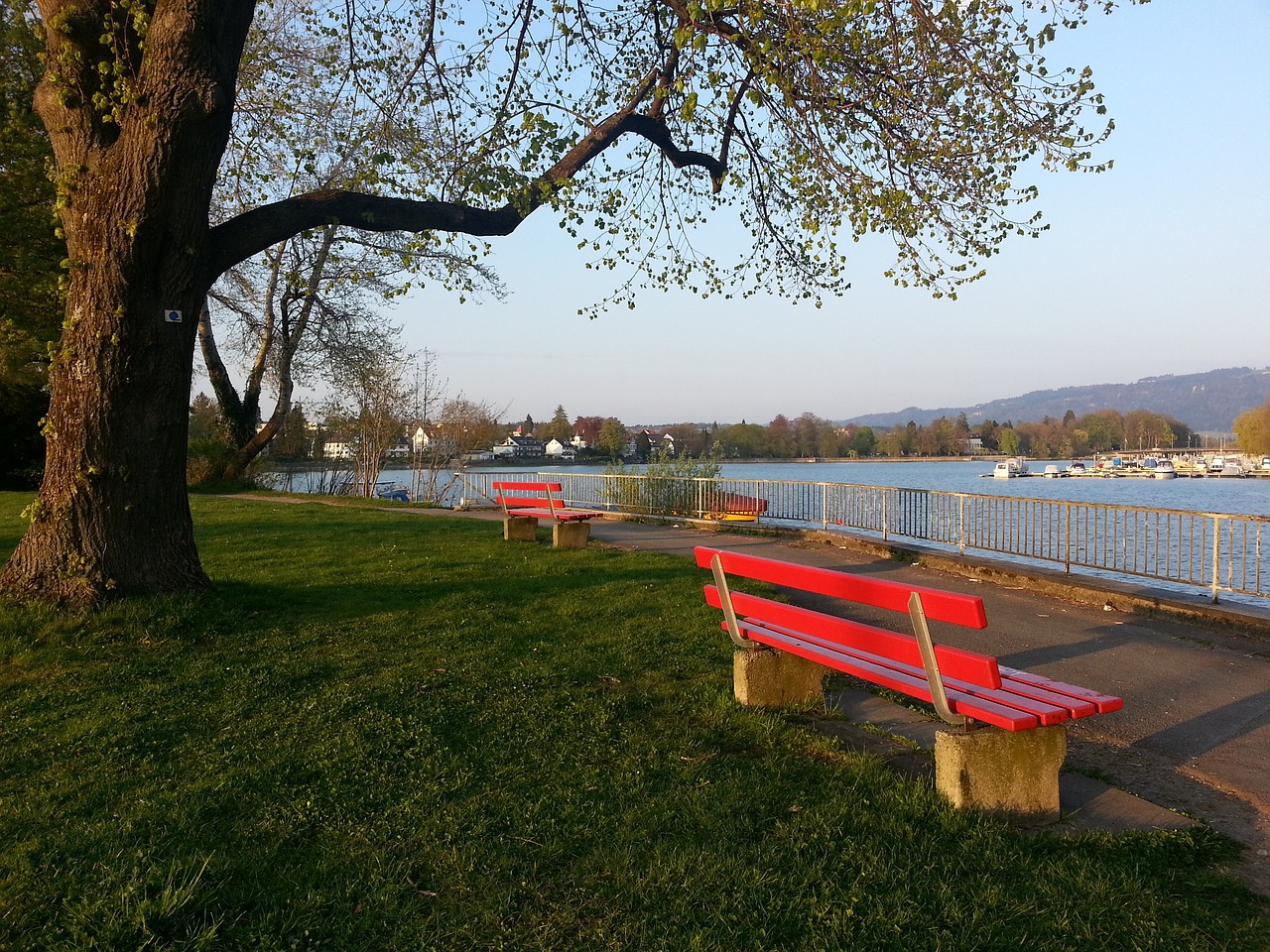 的一位功臣 的一位功臣