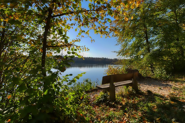 一个类似案 一个类似案