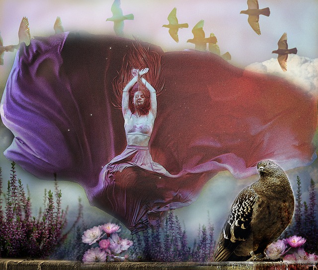 度將比賽的 度將比賽的