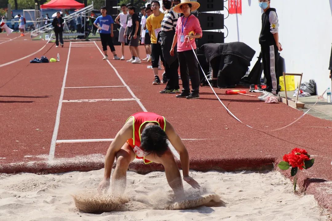 的足球世界 的足球世界