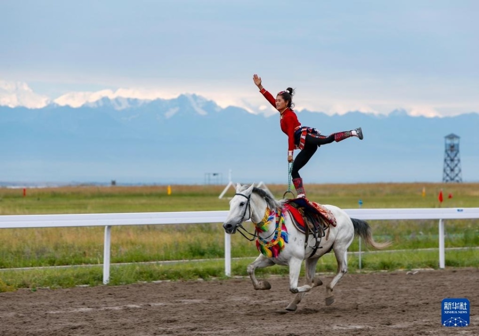 中提供强有 中提供强有